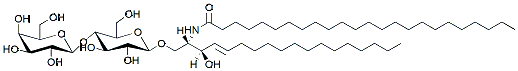 Molecular structure of the compound: C24 Lactosyl(ß) Ceramide (d18:1/24:0)