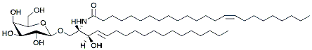 Molecular structure of the compound: C24:1 Galactosyl(ß) Ceramide (d18:1/24:1(15Z))