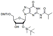 Molecular structure of the compound: 5’-O-DMTr-2’-O-TBDMS-Guanosine (N-iBu)