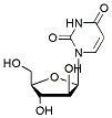 Molecular structure of the compound: 1-beta-D-Arabinofuranosyluracil