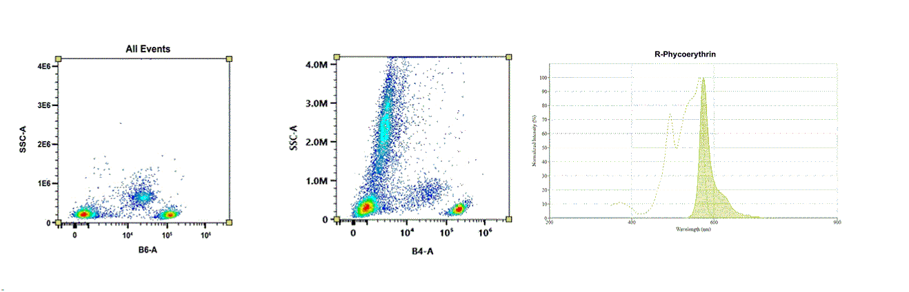 Molecular structure of the compound: R-Phycoerythrin