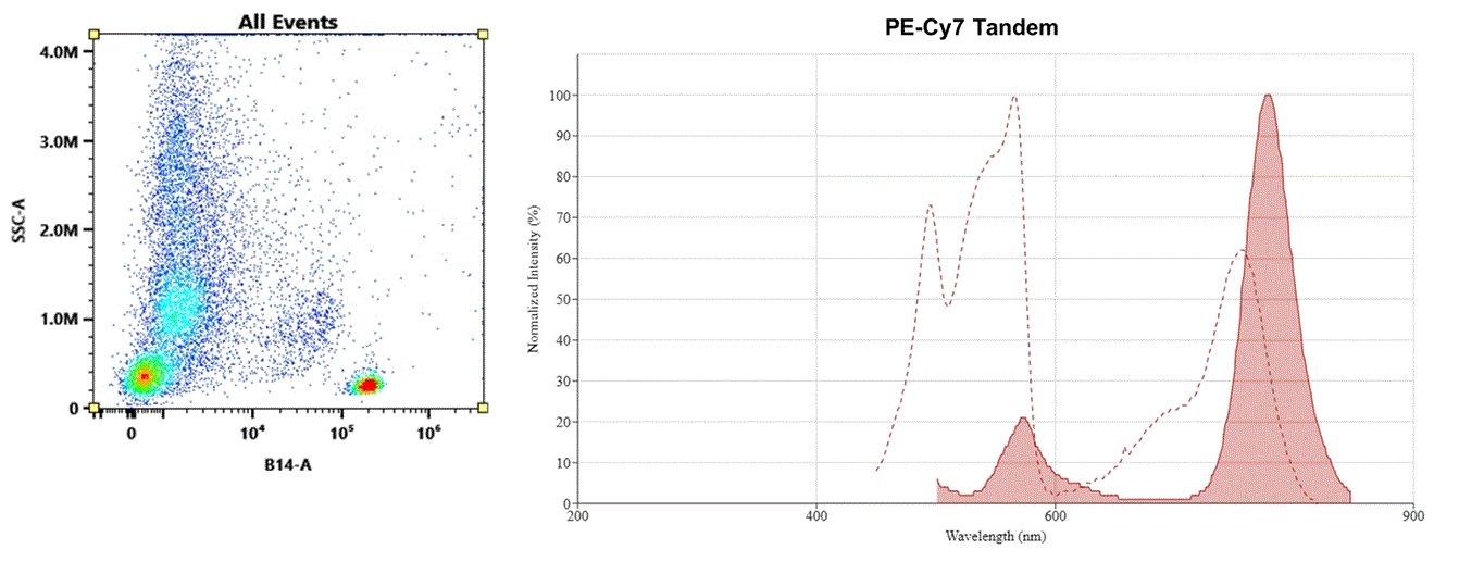 Molecular structure of the compound: PE-Cy7 Tandem