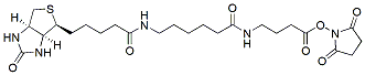 Molecular structure of the compound: NHS-12-Biotin