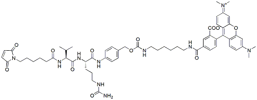 Molecular structure of the compound: Mal-Val-Cit-amino TAMRA