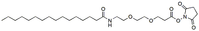 Molecular structure of the compound: Palmitic acid-PEG2-NHS ester