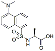 Molecular structure of the compound: Dansyl-L-alanine, cyclohexylammonium salt