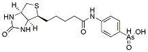 Molecular structure of the compound: N-Biotinyl p-aminophenyl arsenic acid