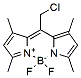 Molecular structure of the compound: CytoTracer Green CM-BDP