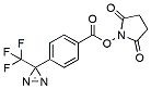 Molecular structure of the compound: CF3-Diazirine-Ph-NHS ester
