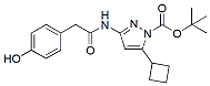 Molecular structure of the compound: CDK9-IN-11