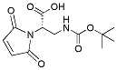 Molecular structure of the compound: Mal-L-PA-NH-Boc