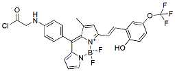 Molecular structure of the compound: ER Tracker Yellow