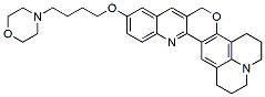 Molecular structure of the compound: CQ-Lyso