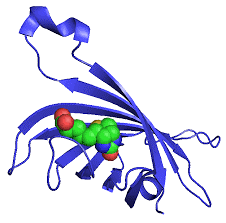 Molecular structure of the compound: Streptavidin