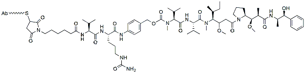 Molecular structure of the compound: Ab-MMAE