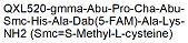 Molecular structure of the compound: 520 MMP FRET Substrate 14
