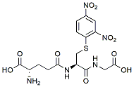 Molecular structure of the compound: S-(2,4-Dinitrophenyl)glutathione