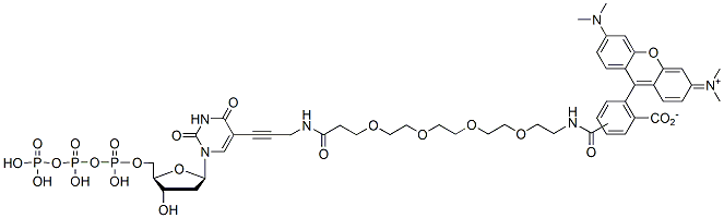 Molecular structure of the compound: TAMRA-PEG4 dUTP