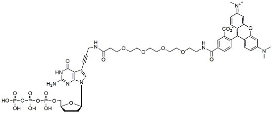 Molecular structure of the compound: ddG-PEG4-TAMRA