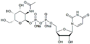 Molecular structure of the compound: Udp-alpha-d-n-acetylgalactosamine,disodiumsalt