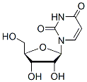 Molecular structure of the compound: Uridine