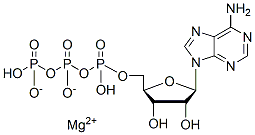 Molecular structure of the compound: Adenosine 5-triphosphate magnesium salt