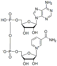 Molecular structure of the compound: beta-Nicotinamide Adenine Dinucleotide