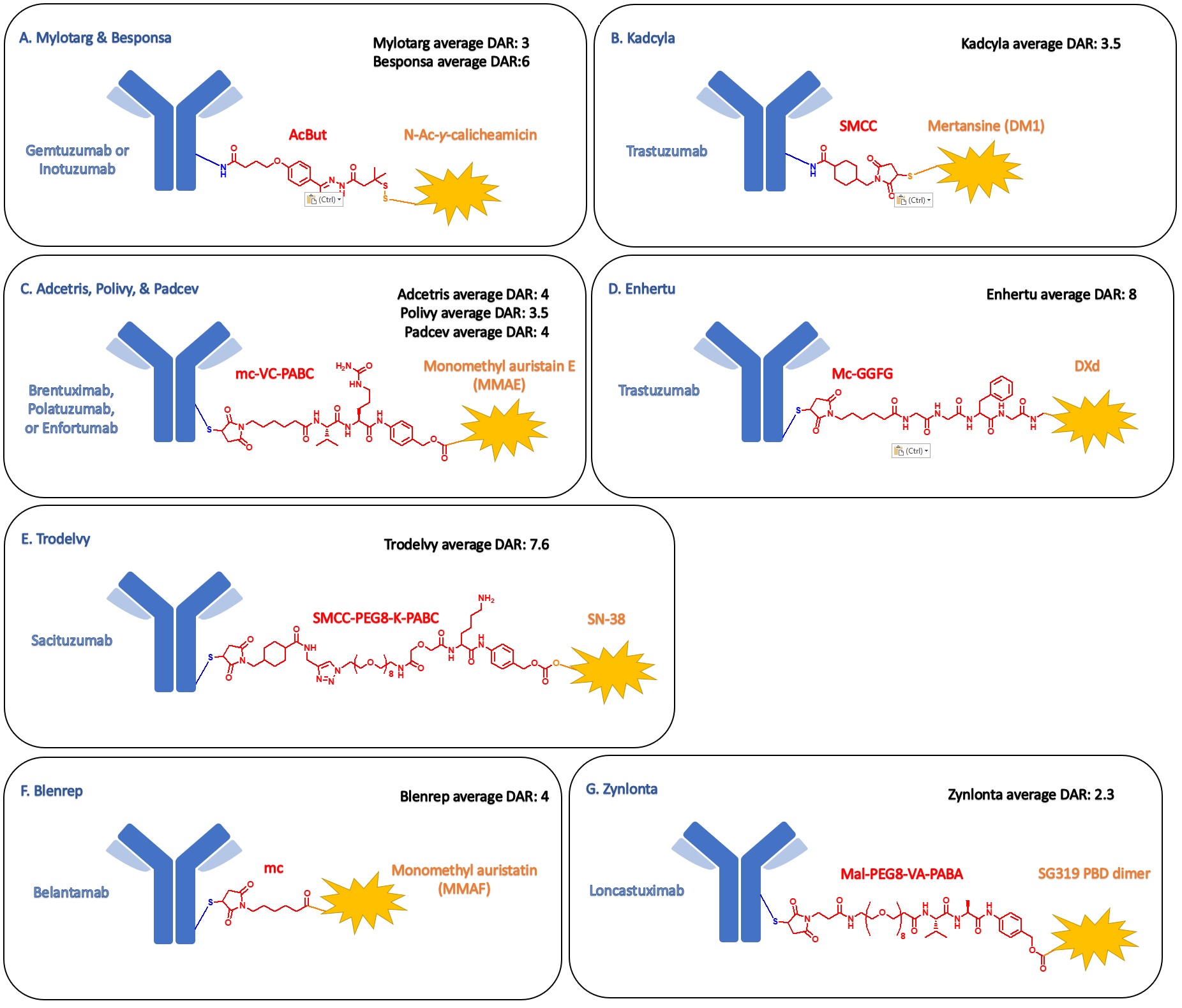 General Review Of ADC Drugs Development BroadPharm