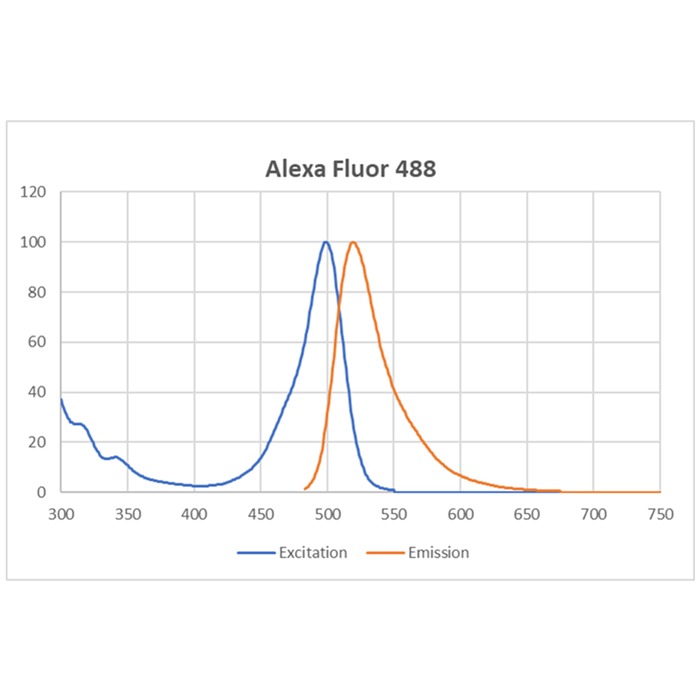 BP Fluor 488 excitation and emission graph.