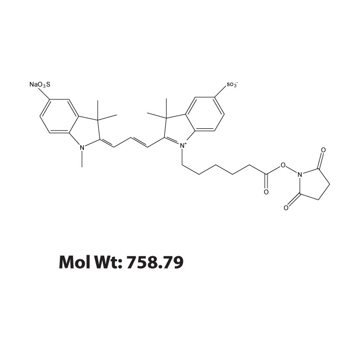 Fluorescein NHS Antibody Labeling Kit chemical structure