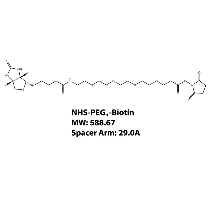 NHS-PEG4-Biotin chemical structure