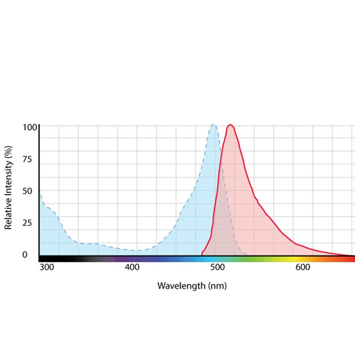 Fluorescein NHS Antibody Labeling Kit relative intensity to wavelength graph